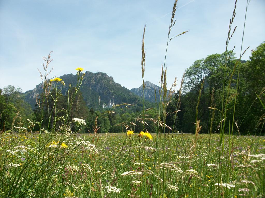 Ferienwohnungen Rexha Schwangau Esterno foto